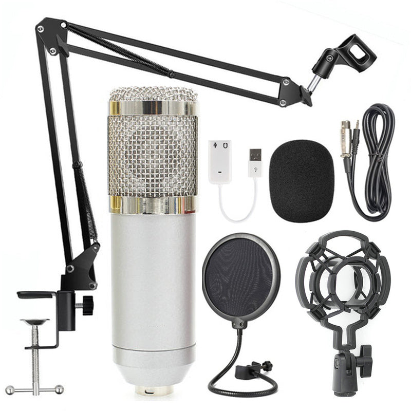 Adjustable Microphone Stand Set with Net Filter – Professional Recording & Streaming