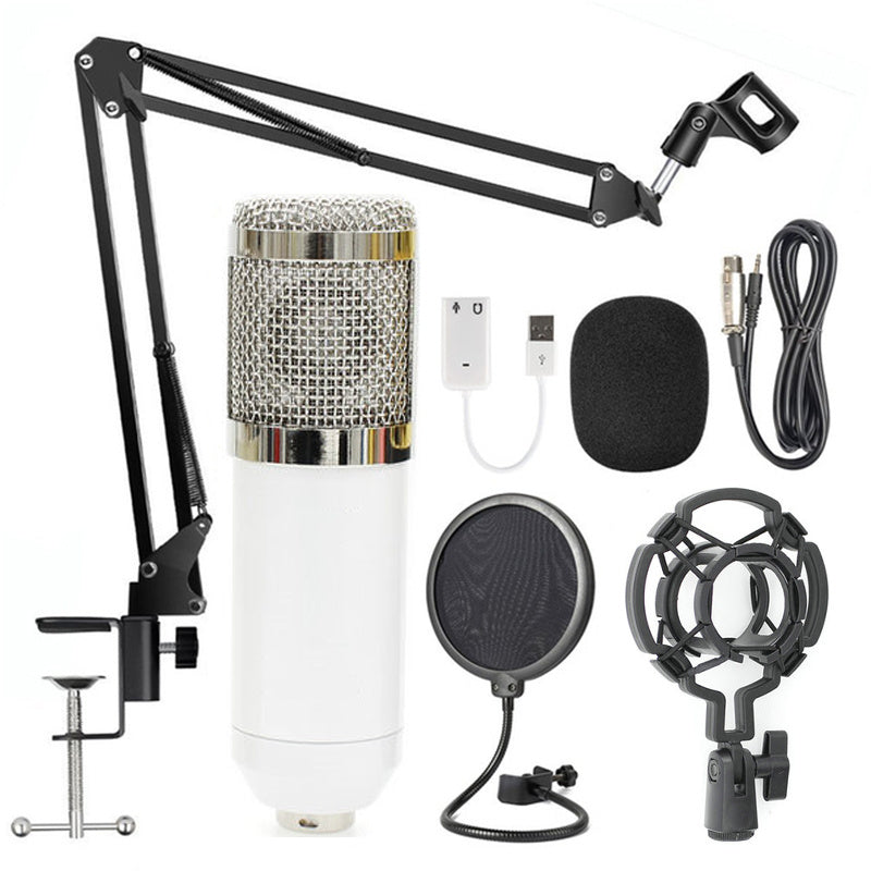 Adjustable Microphone Stand Set with Net Filter – Professional Recording & Streaming