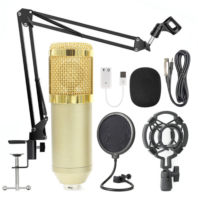 Adjustable Microphone Stand Set with Net Filter – Professional Recording & Streaming