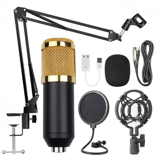 Adjustable Microphone Stand Set with Net Filter – Professional Recording & Streaming