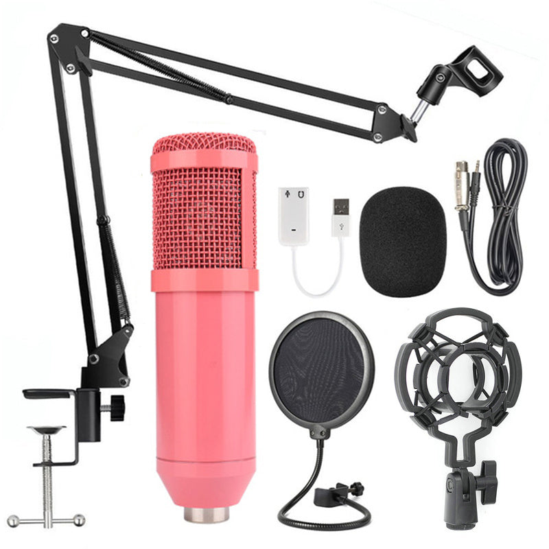 Adjustable Microphone Stand Set with Net Filter – Professional Recording & Streaming