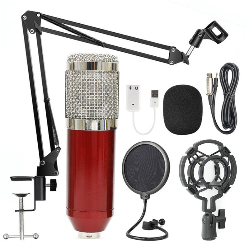 Adjustable Microphone Stand Set with Net Filter – Professional Recording & Streaming