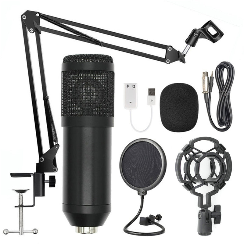 Adjustable Microphone Stand Set with Net Filter – Professional Recording & Streaming